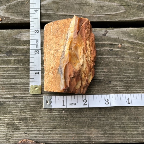 Petrified Wood 2 Piece Set - Picture 14 of 16